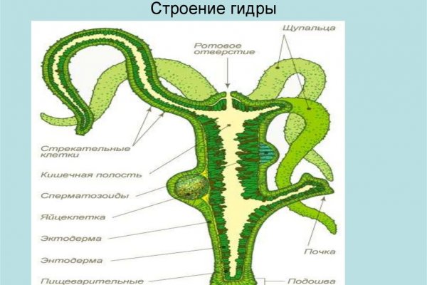 Удалился аккаунт кракен